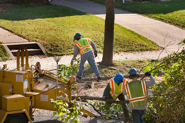 Best Lawn Watering Services  in Sullivan, IL